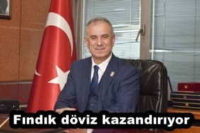 findik_doviz_kazandiriyor_h54701_e3a26