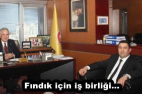 findik_icin_is_birligi_h52088_0bace
