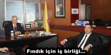 findik_icin_is_birligi_h52088_0bace