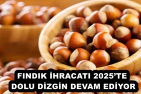 findik_ihracati_2025te_dolu_dizgin_devam_ediyor_h51435_bc0b8