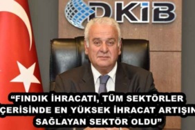 findik_ihracati_tum_sektorler_icerisinde_en_yuksek_ihracat_artisini_saglayan_sektor_oldu_h50430_43fdd