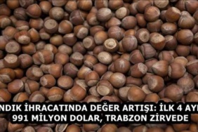findik_ihracatinda_deger_artisi_ilk_4_ayda_991_milyon_dolar_trabzon_zirvede_h58338_0954f