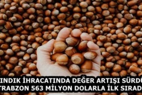findik_ihracatinda_deger_artisi_surdu_trabzon_563_milyon_dolarla_ilk_sirada_h59336_2dd35