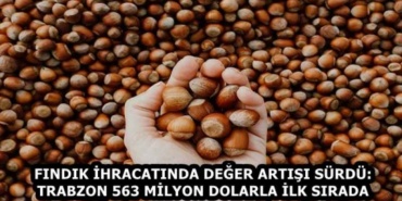 findik_ihracatinda_deger_artisi_surdu_trabzon_563_milyon_dolarla_ilk_sirada_h59336_2dd35