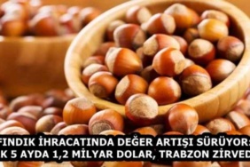 findik_ihracatinda_deger_artisi_suruyor_ilk_5_ayda_12_milyar_dolar_trabzon_zirvede_h58753_fe965
