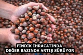 findik_ihracatinda_deger_bazinda_artis_suruyor_h59514_25c4f