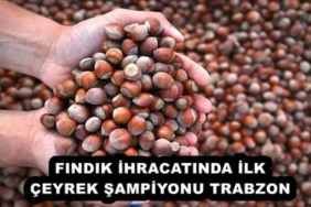 findik_ihracatinda_ilk_ceyrek_sampiyonu_trabzon_h52478_c6517