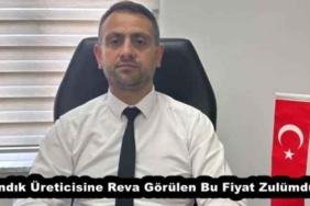 findik_ureticisine_reva_gorulen_bu_fiyat_zulumdur_h54172_101fb