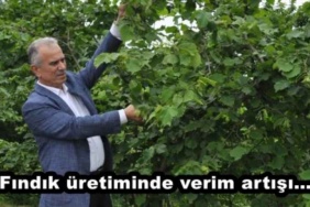 findik_uretiminde_verim_artisi_h48530_450b7