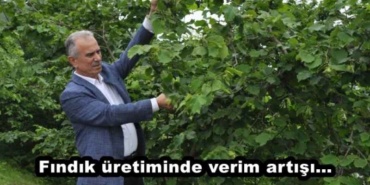 findik_uretiminde_verim_artisi_h48530_450b7