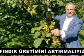 findik_uretimini_artirmaliyiz_h52392_e771d