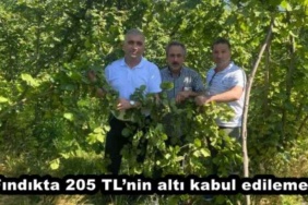 findikta_205_tlninalti_kabul_edilemez_h48079_5a4d2