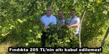 findikta_205_tlninalti_kabul_edilemez_h48079_5a4d2