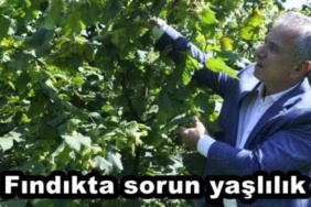 findikta_sorun_yaslilik_h45680_3adbc