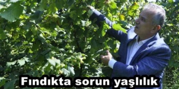 findikta_sorun_yaslilik_h45680_3adbc