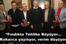 findikta_tehlike_buyuyorkokarca_yayiliyor_verim_dusuyor_h55605_dace3