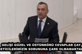gelisi_guzel_ve_ustunkoru_cevaplar_cay_ureticilerimizin_sorununa_care_olmamaktadir_h48201_57038