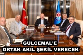 gulcemal_e_ortak_akil_sekil_verecek_h49845_249de