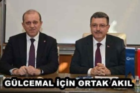 gulcemal_icin_ortak_akil_h50410_0f4e2