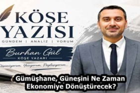 gumushane_gunesini_ne_zaman_ekonomiye_donusturecek_h59682_65771
