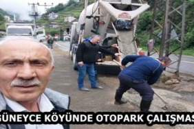 guneyce_koyunde_otopark_calismasi_h58591_4f1b6