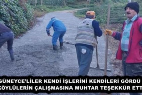guneyceliler_kendi_islerini_kendileri_gordu_koylulerin_calismasina_muhtar_tesekkur_etti_h56011_92b16