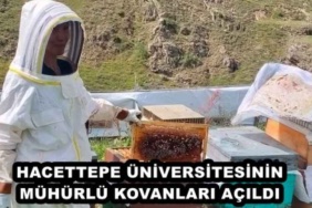 hacettepe_universitesinin_muhurlu_kovanlari_acildi_h48636_2d044