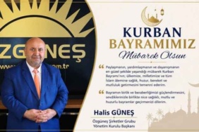 halis_gunes_h58664_45291