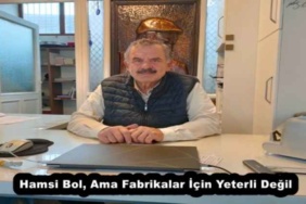hamsi_bol_ama_fabrikalar_icin_yeterli_degil_h55140_75a9a