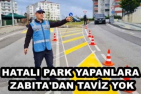 hatali_park_yapanlara_zabita_dan_taviz_yok_h49690_136cc