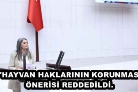 hayvan_haklarinin_korunmasi_onerisi_reddedildi_h48338_666d7
