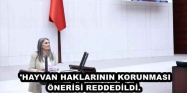 hayvan_haklarinin_korunmasi_onerisi_reddedildi_h48338_666d7