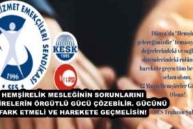 hemsirelik_mesleginin_sorunlarini_hemsirelerin_orgutlu_gucu_cozebilir_gucunu_fark_etmeli_ve_harekete_gecmelisin_h47347_8e1d0