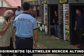 hidirnebide_isletmeler_mercek_altinda_h48336_f1401