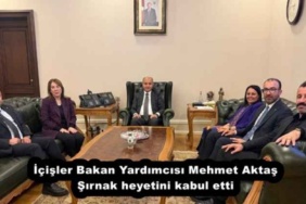 icisler_bakan_yardimcisi_mehmet_aktas_sirnak_heyetini_kabul_etti_h55386_7d4b5