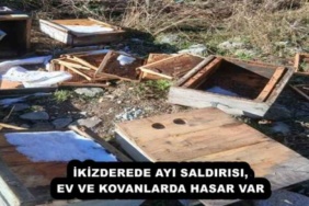 ikizderede_ayi_saldirisi_ev_ve_kovanlarda_hasar_var_h55232_a875d