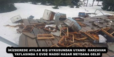 ikizderede_ayilar_kis_uykusundan_uyandi_garzavan_yaylasinda_5_evde_maddi_hasar_meydana_geldi_h52387_10c15