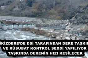 ikizderede_dsi_tarafindan_dere_taskin_ve_rusubat_kontrol_seddi_yapiliyor_taskinda_derenin_hizi_kesilecek_h55740_31cb6