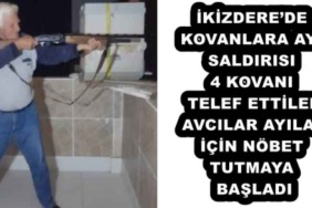 ikizderede_kovanlara_ayi_saldirisi_4_kovani_telef_ettiler_avcilarayilar_icin_nobet_tutmaya_basladi_h54708_383a7