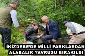 ikizderede_milli_parklardan_alabalik_yavrusu_birakildi_h47706_713c1