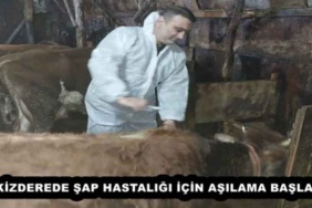 ikizderede_sap_hastaligi_icin_asilama_basladi_h52300_33f88