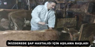 ikizderede_sap_hastaligi_icin_asilama_basladi_h52300_33f88