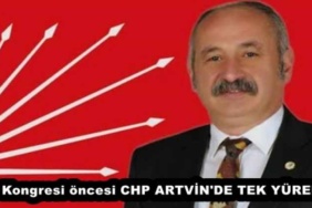 il_kongresi_oncesi_chp_artvin_de_tek_yurek_h54916_edc5b