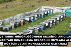 ilce_tarim_mudurlugunden_gezginci_aricilara_uyariari_konaklama_belgesini_mutlaka_alin_koy_icinde_ari_konaklamasi_olmamali_h47852_f2f73