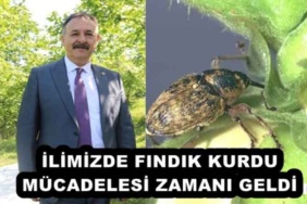 ilimizde_findik_kurdu_mucadelesi_zamani_geldi_h53152_20cc3