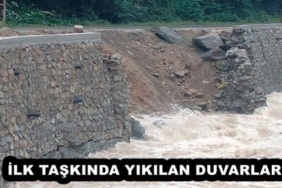 ilk_taskinda_yikilan_duvarlar_h54773_7d4dd