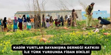 kadim_yurtlar_dayanisma_dernegi_katkisi_ile_turk_yurdunda_fidan_dikildi_h57803_a337f