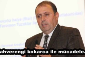 kahverengi_kokarca_ile_mucadele_h46431_477b4