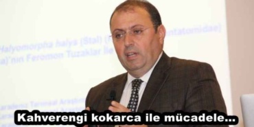 kahverengi_kokarca_ile_mucadele_h46431_477b4