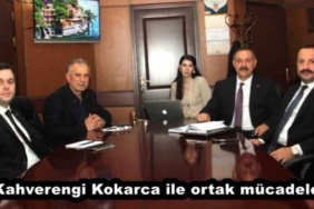 kahverengi_kokarca_ile_ortak_mucadele_h46218_85ea4